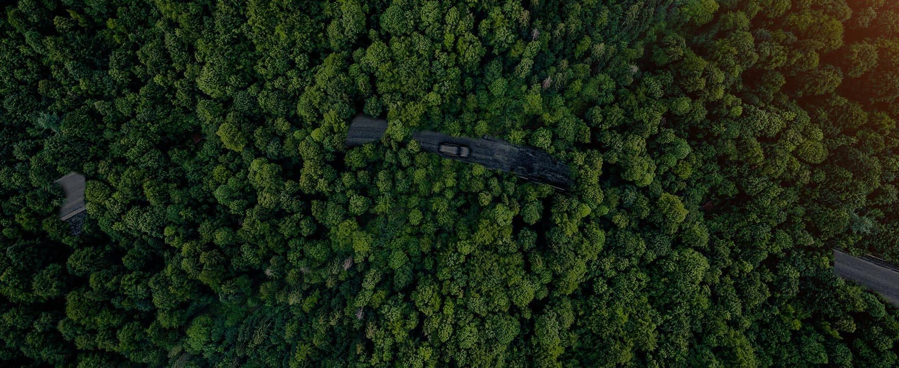 大发国际(welcome)官方网站