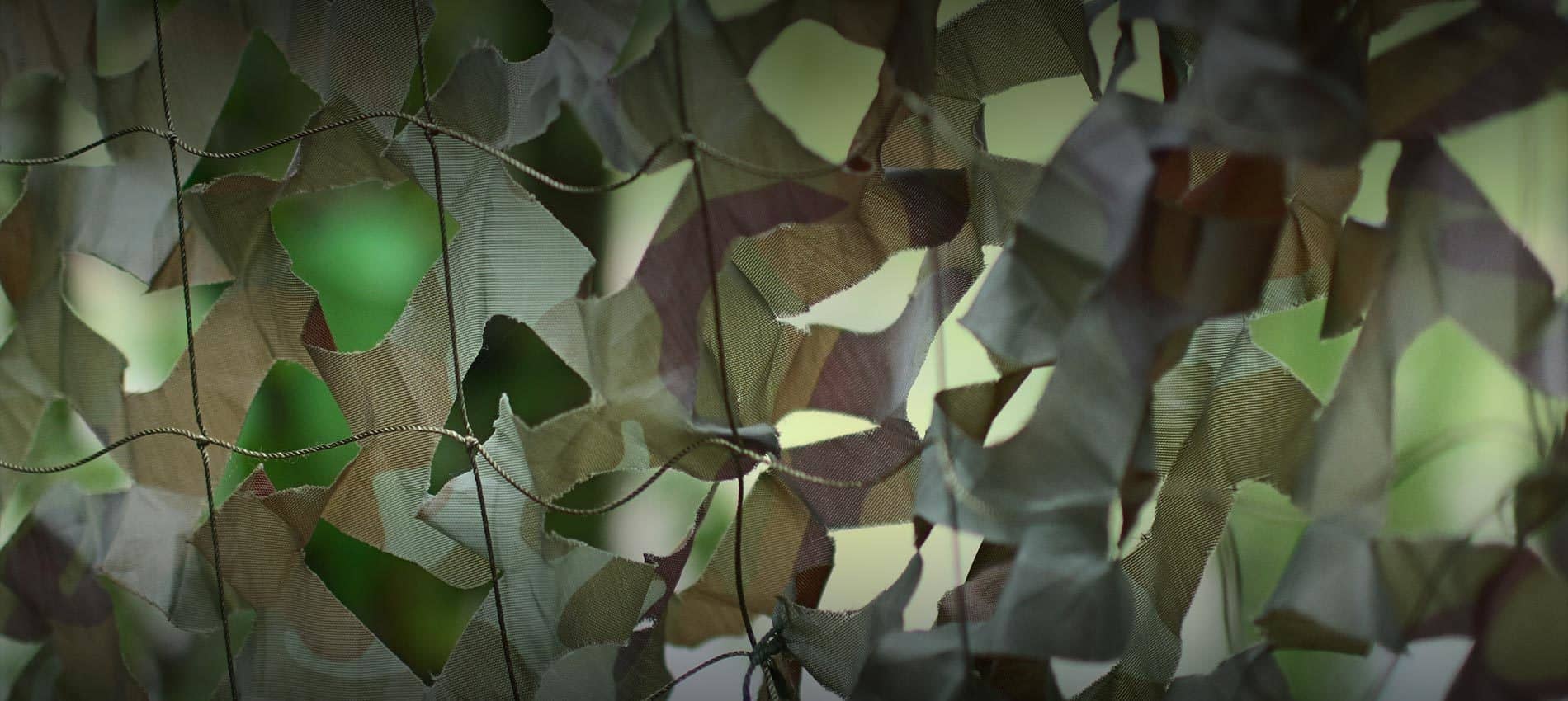 大发国际(welcome)官方网站